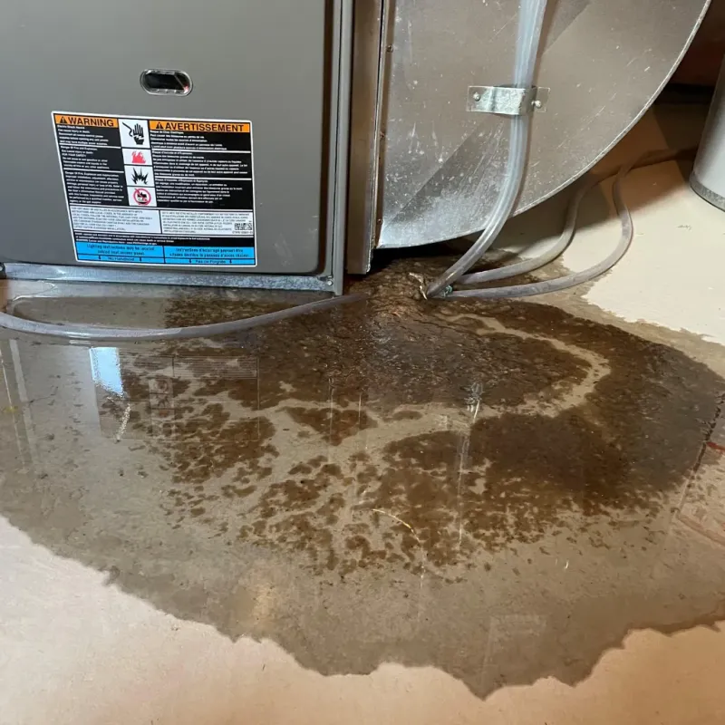 Appliance Leak Cleanup in Southmont, NC
