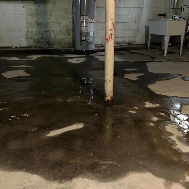 Emergency Water Extraction And Removal in Southmont, NC